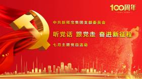 聽黨話 跟黨走 奮進(jìn)新征程 ——記中共新稀寶集團(tuán)有限公司支部委員會七月主題黨日活動